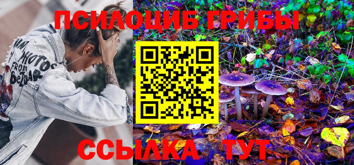Галлюциногенные грибы Psilocybine cubensis Алексеевка